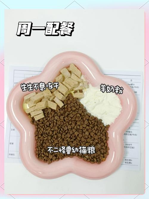 猫咪辅食吃什么,猫咪辅食吃什么好-第1张图片-后鲨宠物 猫咪辅食吃什么,猫咪辅食吃什么好-第1张图片-后鲨宠物