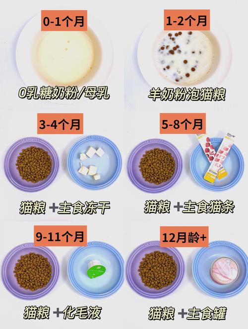 猫咪辅食吃什么,猫咪辅食吃什么好-第2张图片-后鲨宠物 猫咪辅食吃什么,猫咪辅食吃什么好-第2张图片-后鲨宠物