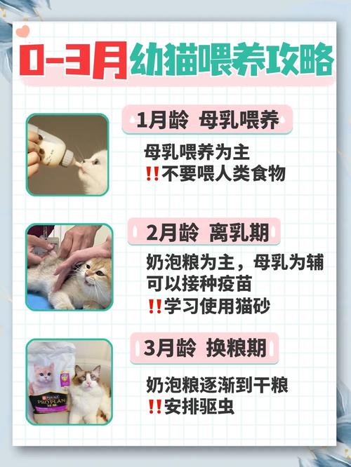 猫咪辅食吃什么,猫咪辅食吃什么好-第4张图片-后鲨宠物 猫咪辅食吃什么,猫咪辅食吃什么好-第4张图片-后鲨宠物