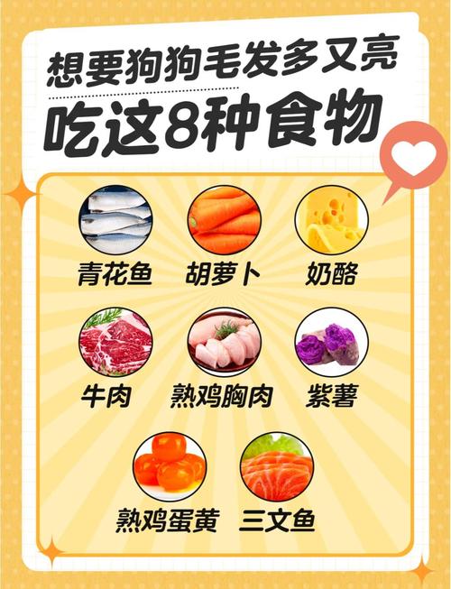 狗狗吃什么毛发亮,狗狗吃什么毛发亮又好看-第2张图片-后鲨宠物 狗狗吃什么毛发亮,狗狗吃什么毛发亮又好看-第2张图片-后鲨宠物