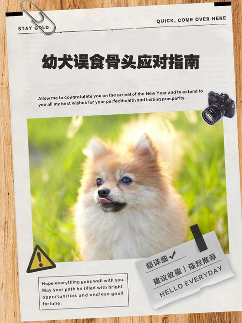 狗狗吃羊骨头好吗_狗狗吃羊骨头会划伤肠胃吗