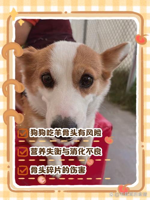 狗狗吃羊骨头好吗_狗狗吃羊骨头会划伤肠胃吗-第3张图片-后鲨宠物 狗狗吃羊骨头好吗_狗狗吃羊骨头会划伤肠胃吗-第3张图片-后鲨宠物