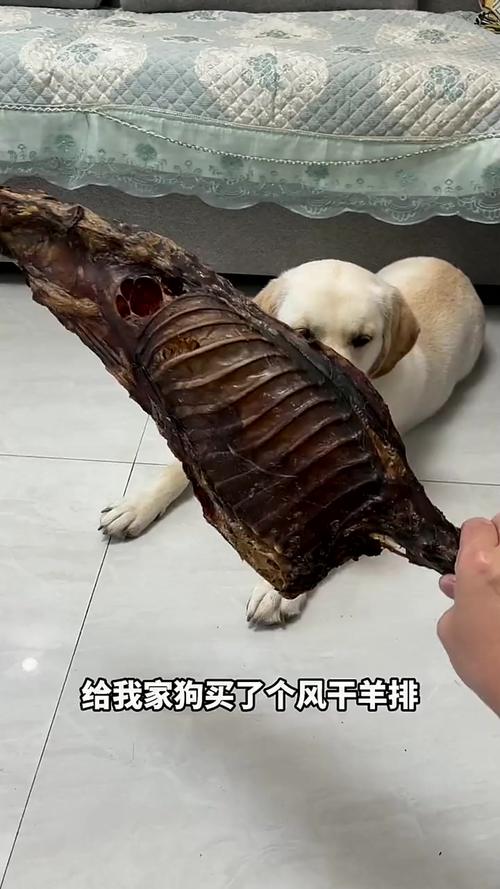 狗狗吃羊骨头好吗_狗狗吃羊骨头会划伤肠胃吗-第4张图片-后鲨宠物 狗狗吃羊骨头好吗_狗狗吃羊骨头会划伤肠胃吗-第4张图片-后鲨宠物
