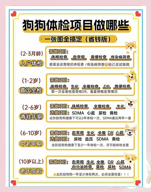 狗狗拍片多少钱,狗狗拍片子大概多少钱?-第2张图片-后鲨宠物 狗狗拍片多少钱,狗狗拍片子大概多少钱?-第2张图片-后鲨宠物