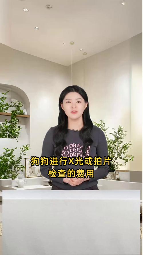 狗狗拍片多少钱,狗狗拍片子大概多少钱?-第4张图片-后鲨宠物 狗狗拍片多少钱,狗狗拍片子大概多少钱?-第4张图片-后鲨宠物