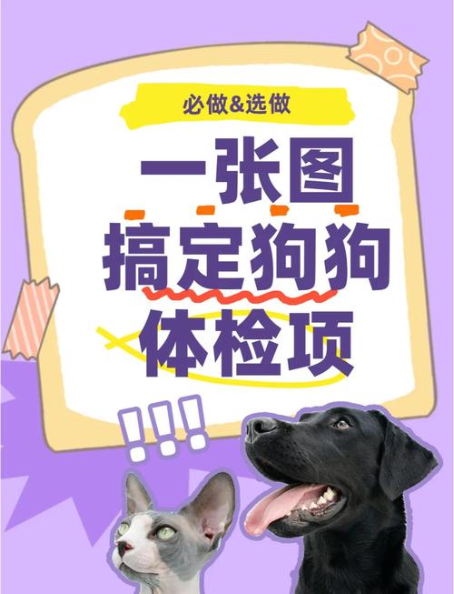 狗狗拍片多少钱,狗狗拍片子大概多少钱?-第5张图片-后鲨宠物 狗狗拍片多少钱,狗狗拍片子大概多少钱?-第5张图片-后鲨宠物