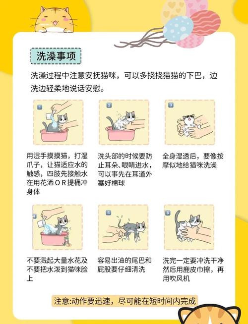 如何给小猫咪洗澡,怎么给小猫咪洗澡?-第4张图片-后鲨宠物 如何给小猫咪洗澡,怎么给小猫咪洗澡?-第4张图片-后鲨宠物