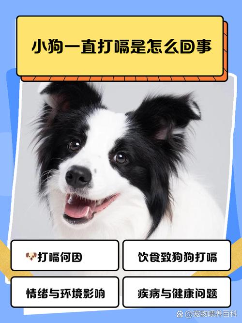 狗狗会不会打嗝,狗狗会打嗝的症状-第4张图片-后鲨宠物 狗狗会不会打嗝,狗狗会打嗝的症状-第4张图片-后鲨宠物