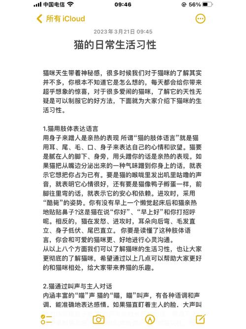 猫咪的日常生活_猫咪的日常生活 一天-第4张图片-后鲨宠物