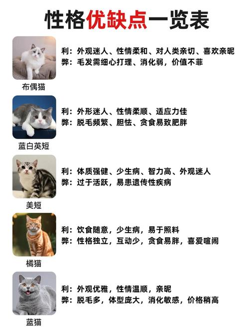 猫咪的日常生活_猫咪的日常生活 一天-第5张图片-后鲨宠物