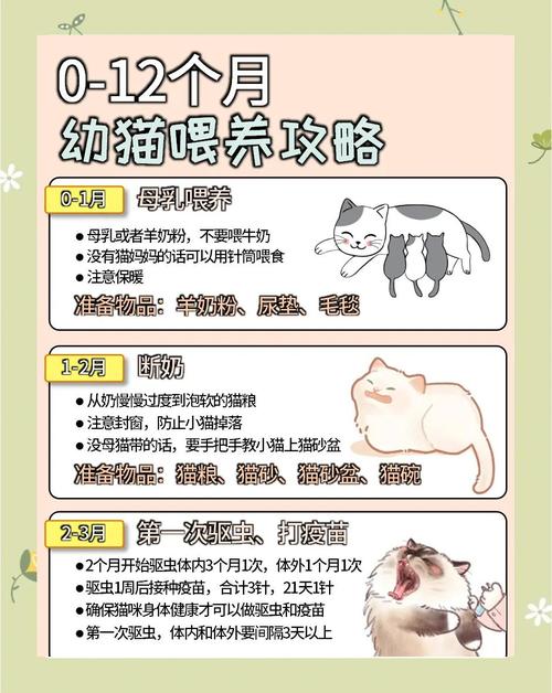 猫咪的日常生活_猫咪的日常生活 一天-第6张图片-后鲨宠物