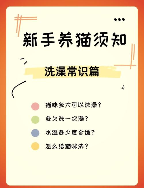 猫咪多久可以洗澡_刚出生的猫咪多久可以洗澡-第2张图片-后鲨宠物 猫咪多久可以洗澡_刚出生的猫咪多久可以洗澡-第2张图片-后鲨宠物