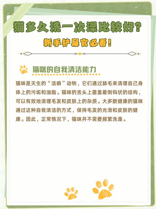 猫咪多久可以洗澡_刚出生的猫咪多久可以洗澡-第5张图片-后鲨宠物 猫咪多久可以洗澡_刚出生的猫咪多久可以洗澡-第5张图片-后鲨宠物