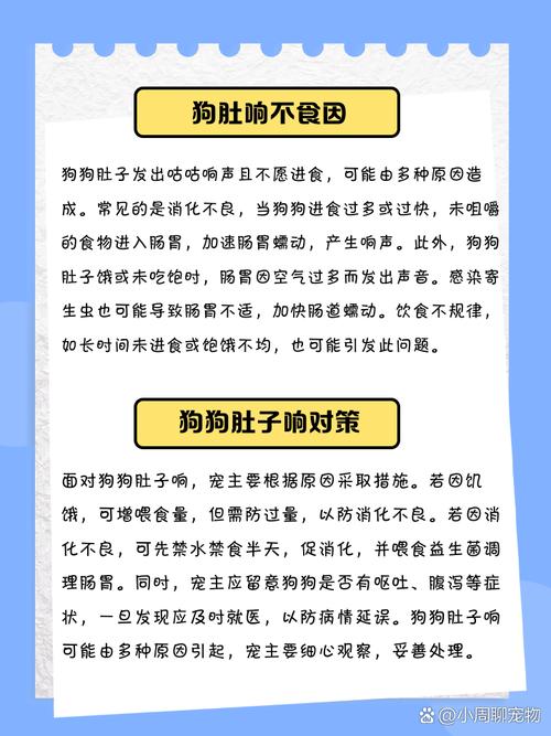 狗狗肚子咕咕叫怎么回事,狗狗肚子咕噜响是怎么回事-第2张图片-后鲨宠物 狗狗肚子咕咕叫怎么回事,狗狗肚子咕噜响是怎么回事-第2张图片-后鲨宠物