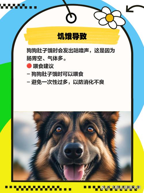 狗狗肚子咕咕叫怎么回事,狗狗肚子咕噜响是怎么回事-第6张图片-后鲨宠物 狗狗肚子咕咕叫怎么回事,狗狗肚子咕噜响是怎么回事-第6张图片-后鲨宠物