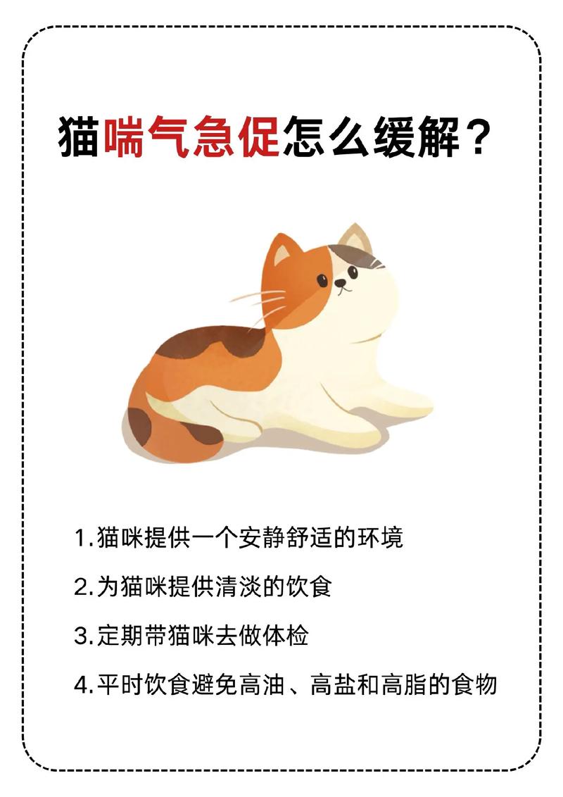猫咪哮喘吃什么药,猫哮喘如何治疗-第1张图片-后鲨宠物 猫咪哮喘吃什么药,猫哮喘如何治疗-第1张图片-后鲨宠物