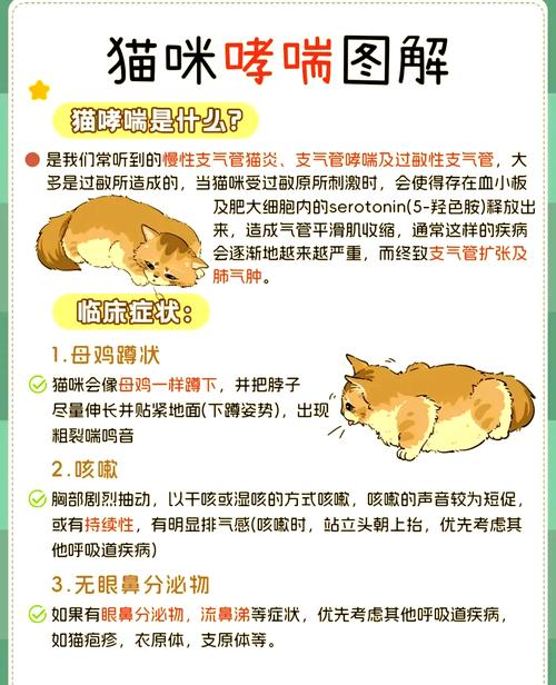 猫咪哮喘吃什么药,猫哮喘如何治疗-第2张图片-后鲨宠物 猫咪哮喘吃什么药,猫哮喘如何治疗-第2张图片-后鲨宠物