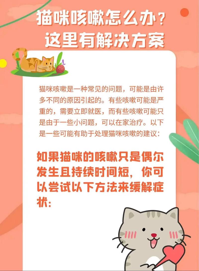 猫咪哮喘吃什么药,猫哮喘如何治疗-第3张图片-后鲨宠物 猫咪哮喘吃什么药,猫哮喘如何治疗-第3张图片-后鲨宠物