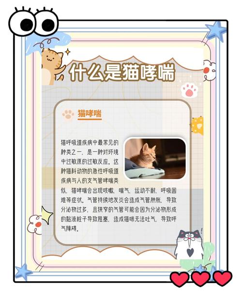 猫咪哮喘吃什么药,猫哮喘如何治疗-第5张图片-后鲨宠物 猫咪哮喘吃什么药,猫哮喘如何治疗-第5张图片-后鲨宠物