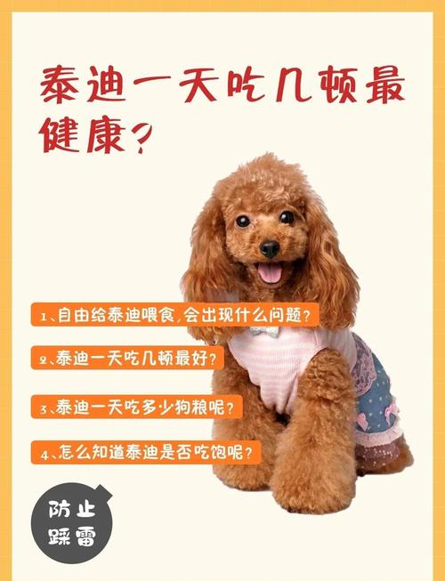 满月的狗狗一天吃几顿，刚满月狗狗一天喂几次,喂多少狗粮？-第2张图片-后鲨宠物