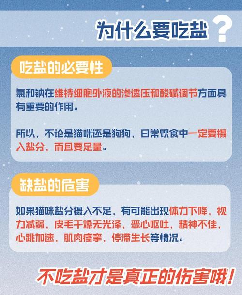 猫咪不能吃盐吗_猫咪不能吃咸的说法对吗-第4张图片-后鲨宠物