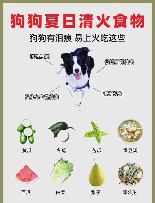  狗狗能喝菊花水吗，狗可以喝菊花茶水吗-第1张图片-后鲨宠物