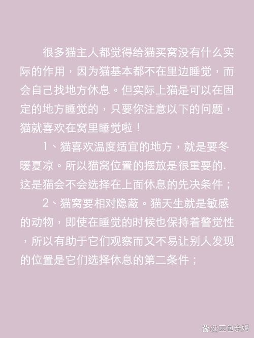 猫咪不进猫窝怎么办,猫一直不进猫窝?-第2张图片-后鲨宠物 猫咪不进猫窝怎么办,猫一直不进猫窝?-第2张图片-后鲨宠物