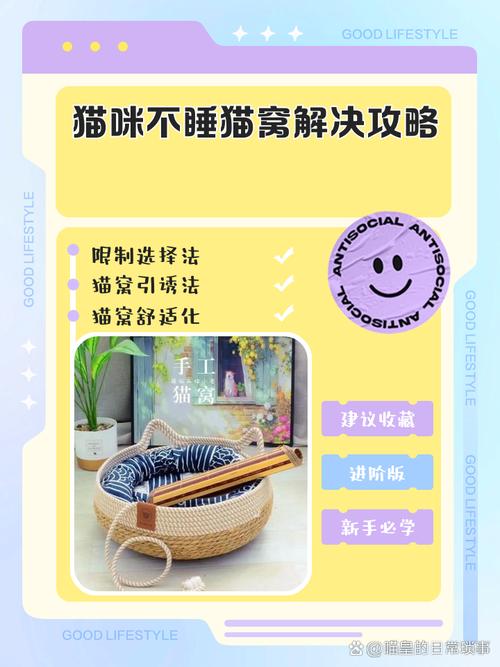 猫咪不进猫窝怎么办,猫一直不进猫窝?-第5张图片-后鲨宠物 猫咪不进猫窝怎么办,猫一直不进猫窝?-第5张图片-后鲨宠物