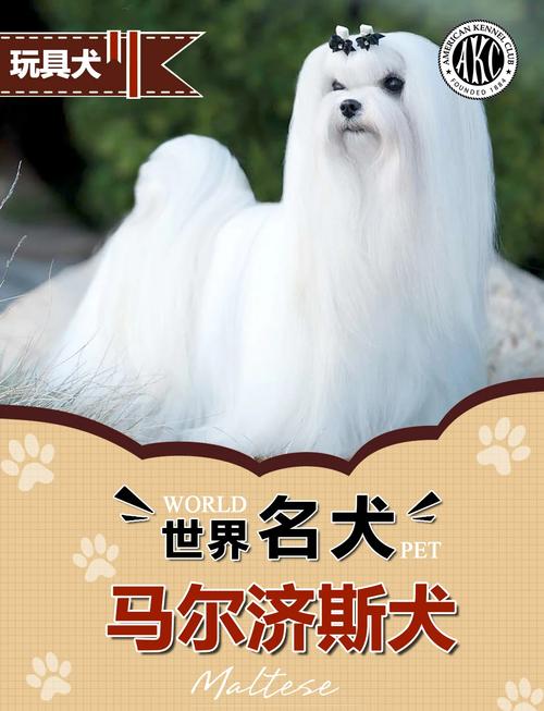 狗狗地包天怎么纠正_狗狗地包天是啥意思-第5张图片-后鲨宠物