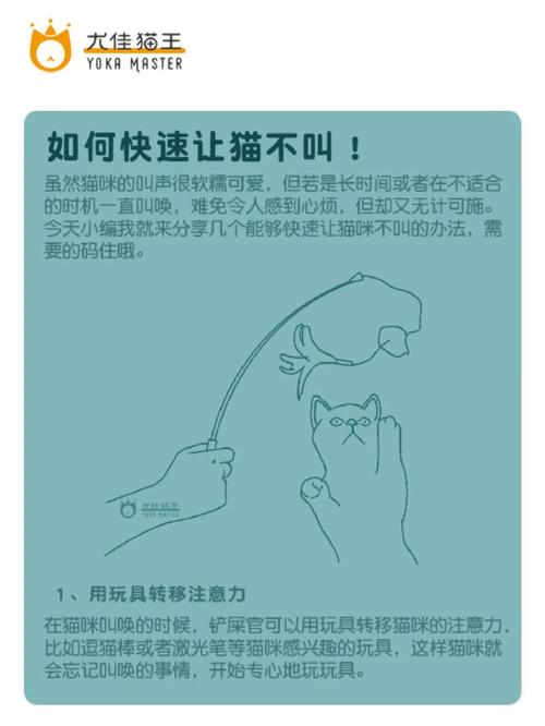 怎样让猫咪不叫,怎能让猫不叫?-第3张图片-后鲨宠物 怎样让猫咪不叫,怎能让猫不叫?-第3张图片-后鲨宠物