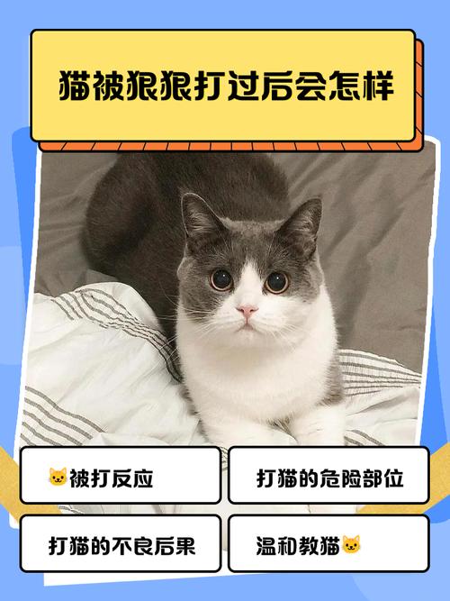 猫咪抽搐流口水,猫咪抽搐流口水流鼻涕-第2张图片-后鲨宠物 猫咪抽搐流口水,猫咪抽搐流口水流鼻涕-第2张图片-后鲨宠物