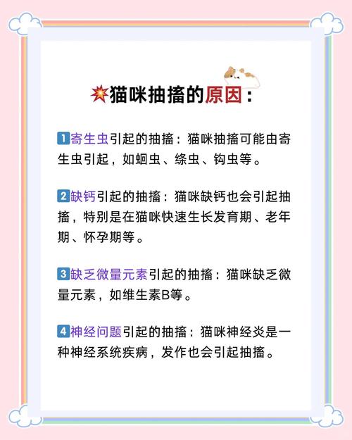 猫咪抽搐流口水,猫咪抽搐流口水流鼻涕-第4张图片-后鲨宠物 猫咪抽搐流口水,猫咪抽搐流口水流鼻涕-第4张图片-后鲨宠物