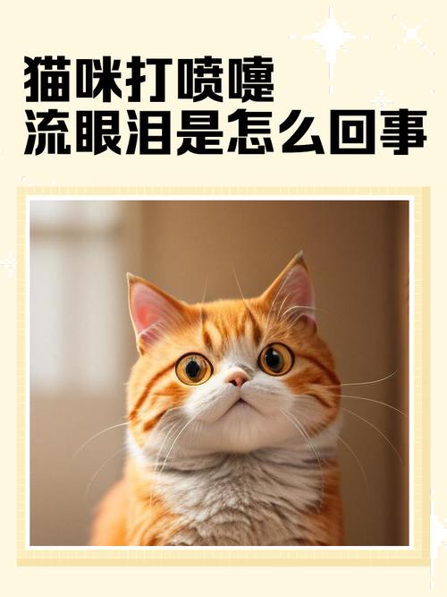 猫咪打喷嚏有眼屎,猫咪打喷嚏眼屎黄?-第1张图片-后鲨宠物 猫咪打喷嚏有眼屎,猫咪打喷嚏眼屎黄?-第1张图片-后鲨宠物