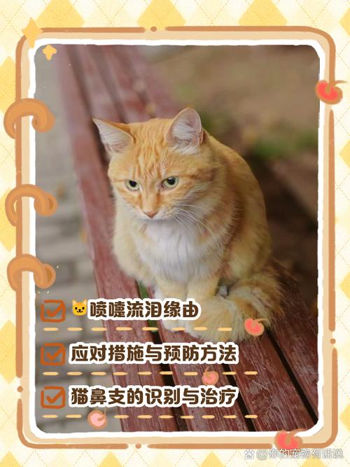 猫咪打喷嚏有眼屎,猫咪打喷嚏眼屎黄?-第3张图片-后鲨宠物 猫咪打喷嚏有眼屎,猫咪打喷嚏眼屎黄?-第3张图片-后鲨宠物