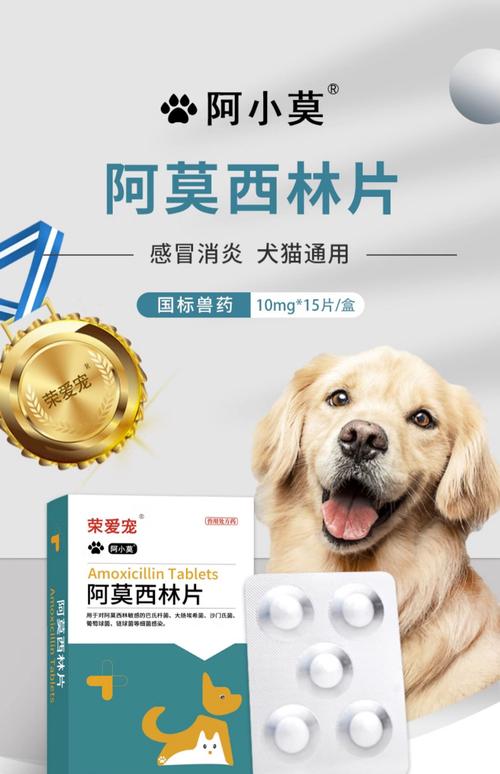  狗狗感冒打喷嚏吃什么药，狗狗感冒了流鼻涕吃啥药-第3张图片-后鲨宠物