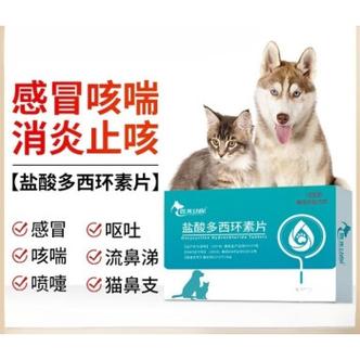  狗狗感冒打喷嚏吃什么药，狗狗感冒了流鼻涕吃啥药-第4张图片-后鲨宠物