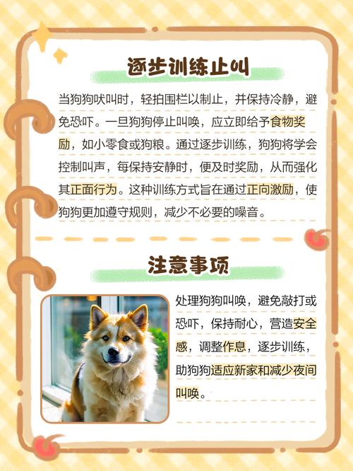 狗狗回家一直叫怎么办，一回家狗狗就叫不停？-第6张图片-后鲨宠物