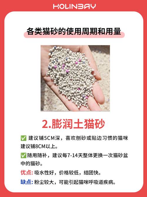 幼猫猫砂多久换一次,幼猫猫砂用量?-第1张图片-后鲨宠物 幼猫猫砂多久换一次,幼猫猫砂用量?-第1张图片-后鲨宠物