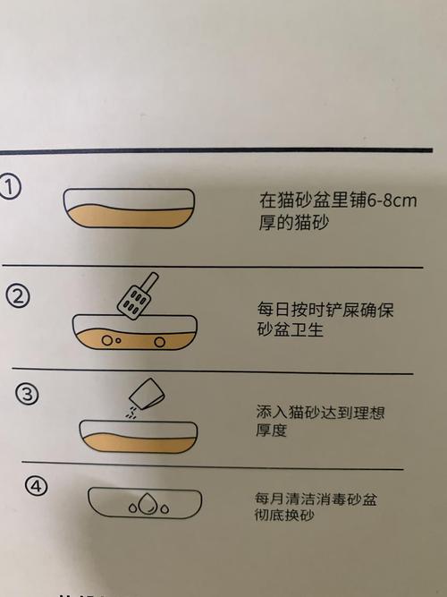 幼猫猫砂多久换一次,幼猫猫砂用量?-第3张图片-后鲨宠物 幼猫猫砂多久换一次,幼猫猫砂用量?-第3张图片-后鲨宠物