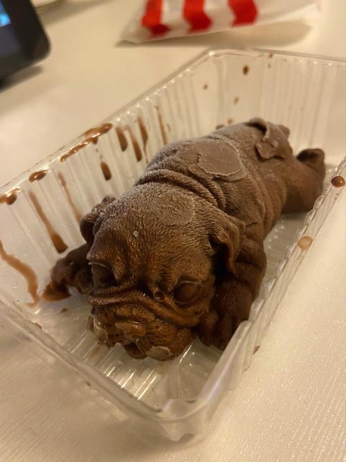 狗狗能吃巧克力蛋糕吗_狗狗可以吃巧克力奶油吗-第4张图片-后鲨宠物 狗狗能吃巧克力蛋糕吗_狗狗可以吃巧克力奶油吗-第4张图片-后鲨宠物