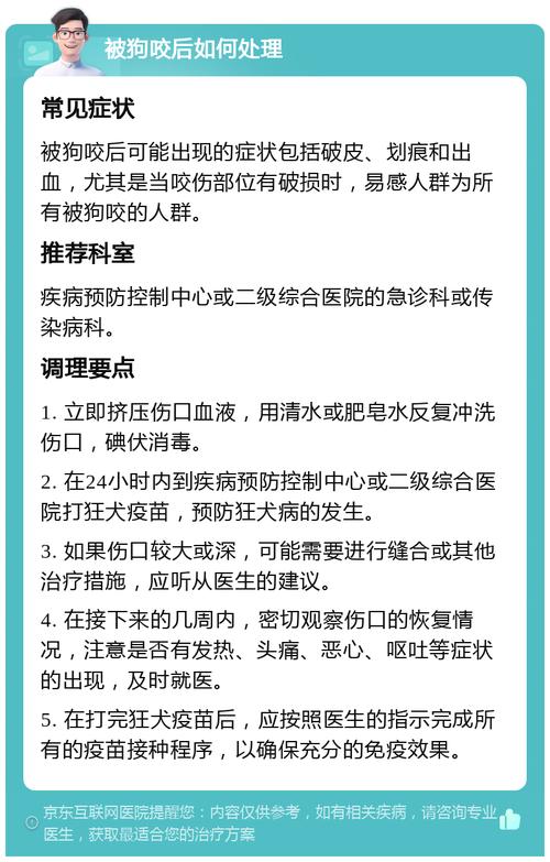狗狗被别的狗咬伤了怎么办,狗狗被大狗咬有个牙洞-第2张图片-后鲨宠物 狗狗被别的狗咬伤了怎么办,狗狗被大狗咬有个牙洞-第2张图片-后鲨宠物