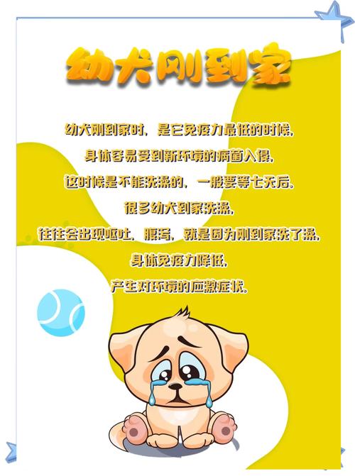 狗狗身上有伤口可以洗澡吗,狗身上的伤口能愈合吗?-第4张图片-后鲨宠物 狗狗身上有伤口可以洗澡吗,狗身上的伤口能愈合吗?-第4张图片-后鲨宠物