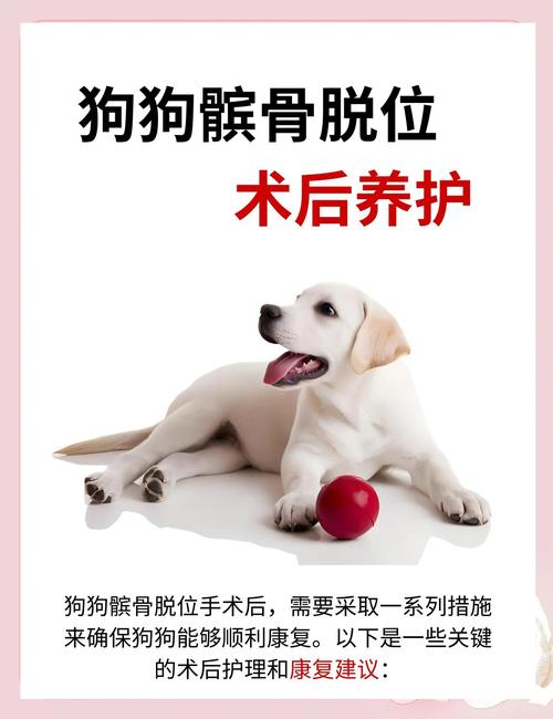 狗狗身上有伤口可以洗澡吗,狗身上的伤口能愈合吗?-第5张图片-后鲨宠物 狗狗身上有伤口可以洗澡吗,狗身上的伤口能愈合吗?-第5张图片-后鲨宠物