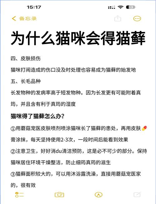 猫咪为什么会得猫癣,猫为什么会起猫癣-第5张图片-后鲨宠物 猫咪为什么会得猫癣,猫为什么会起猫癣-第5张图片-后鲨宠物