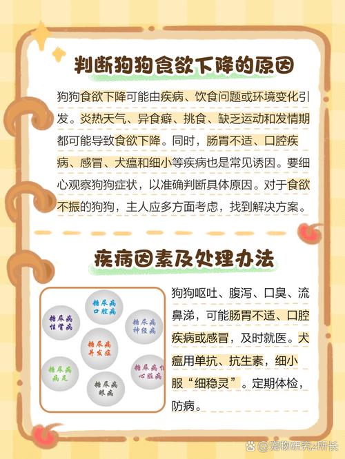 狗狗没有食欲怎么办_怎样让狗狗胃口大开-第5张图片-后鲨宠物 狗狗没有食欲怎么办_怎样让狗狗胃口大开-第5张图片-后鲨宠物