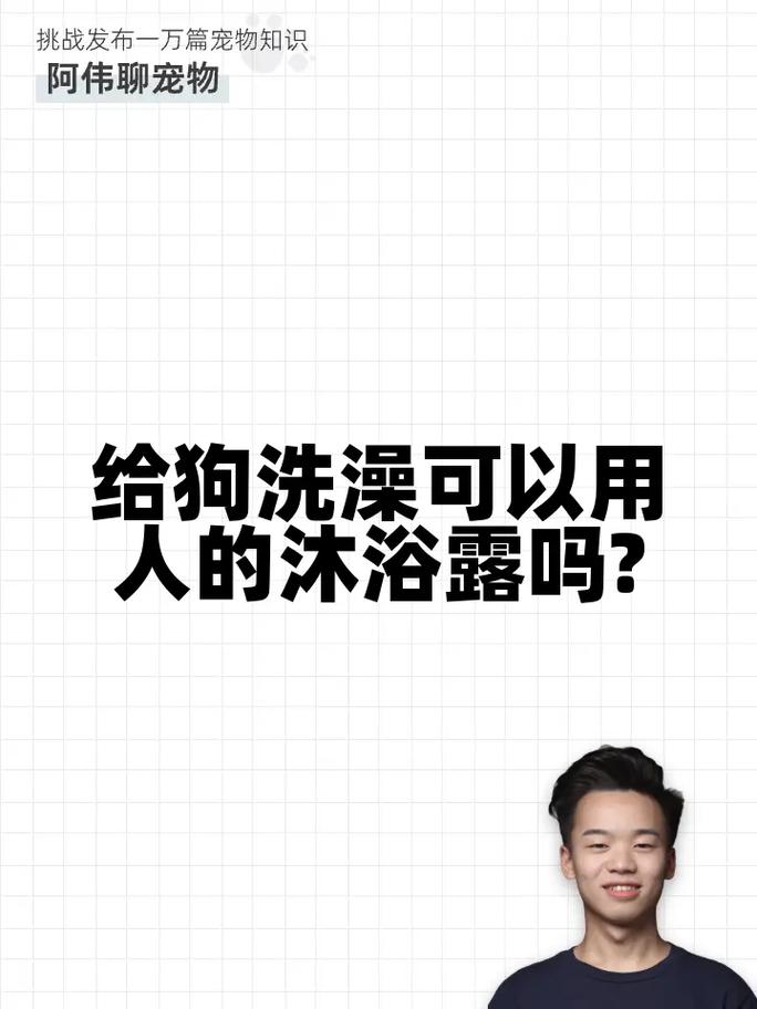 狗狗能用人的洗发水吗_狗狗可以用人的洗发水吗?-第5张图片-后鲨宠物 狗狗能用人的洗发水吗_狗狗可以用人的洗发水吗?-第5张图片-后鲨宠物