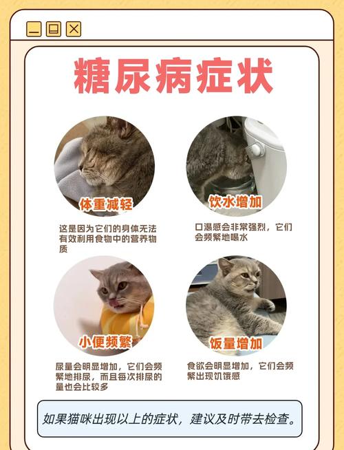 猫咪能喝葡萄糖吗,猫咪能喝葡萄糖水吗?-第3张图片-后鲨宠物 猫咪能喝葡萄糖吗,猫咪能喝葡萄糖水吗?-第3张图片-后鲨宠物