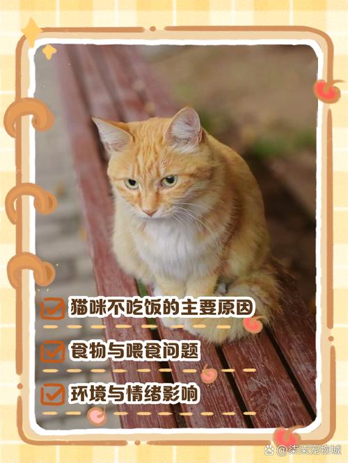猫咪能喝葡萄糖吗,猫咪能喝葡萄糖水吗?-第5张图片-后鲨宠物 猫咪能喝葡萄糖吗,猫咪能喝葡萄糖水吗?-第5张图片-后鲨宠物