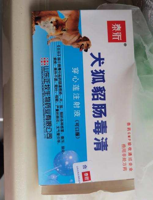 狗狗得了细小吃什么药,狗得了细小吃什么药见效快-第5张图片-后鲨宠物 狗狗得了细小吃什么药,狗得了细小吃什么药见效快-第5张图片-后鲨宠物