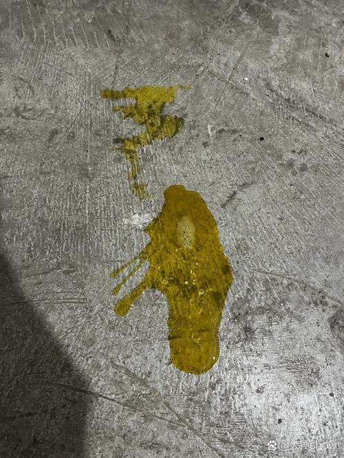 吃奶的狗狗拉稀怎么办，吃奶小狗拉什么屎正常？-第2张图片-后鲨宠物